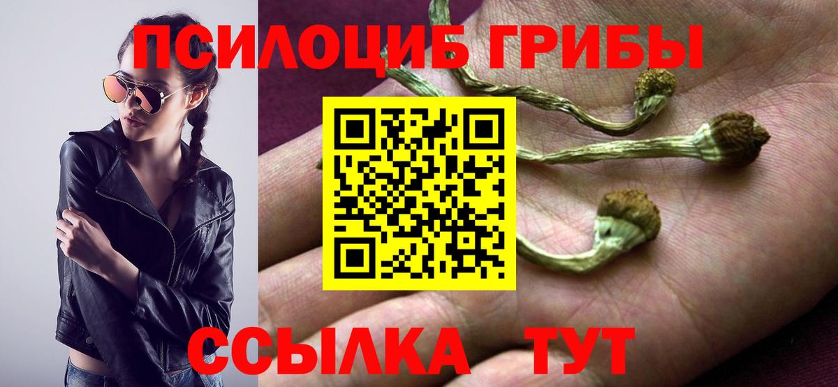 Псилоцибиновые грибы Psilocybe  Вход с VPN  Балашиха 
