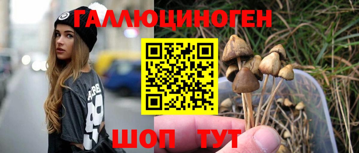 Галлюциногенные грибы мухоморы Балашиха